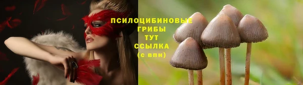 сатива Алексин